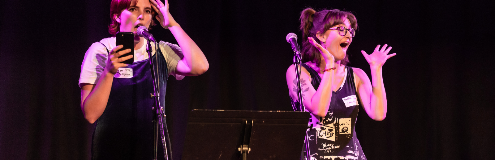 Two performers sing on stage into microphones